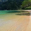 Monkey Bay