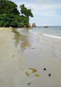 Kg. Wangkang