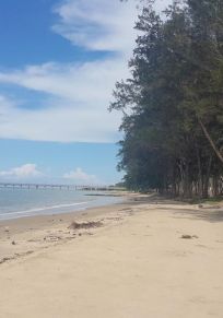 Bandar Sahabat