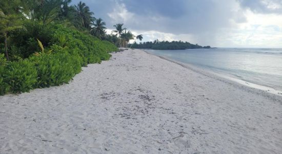 Meedhoo Beach