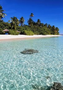 Thinadhoo
