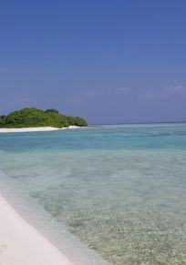 Thimarafushi