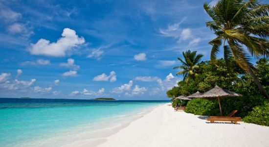 Plaża na wyspie Fonimagoodhoo