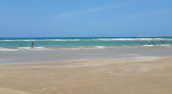 Playa Tesoro Altamira