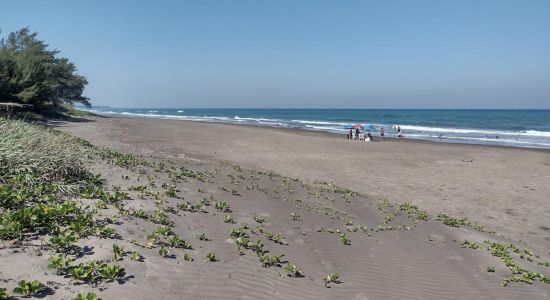 Playa Los Pinos