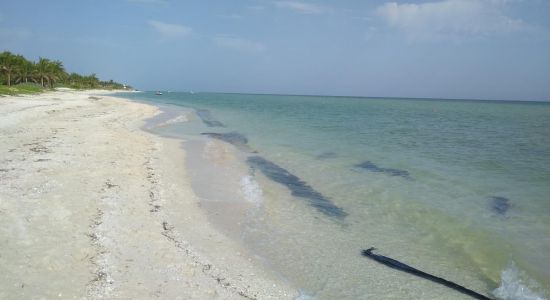 Playa Uaymitun