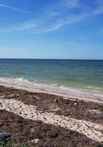 San Crisanto