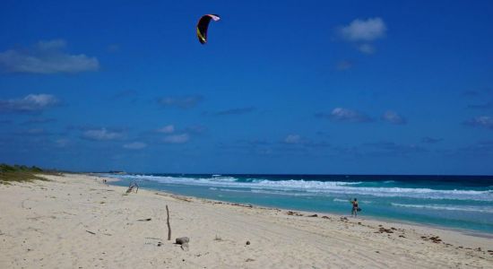 Playa Punta Norte