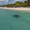 Occidental Cozumel