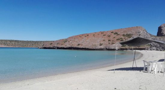 Playa El Tesoro