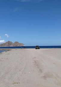Ligui