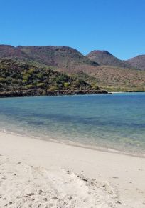 Mulege