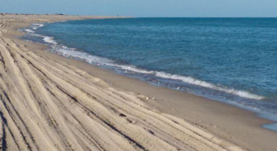 Playa El Porvenir