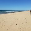 Playa Del Este
