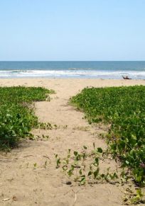 Playa de Las Tortugas