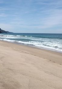 El Monteon
