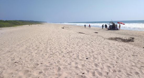 Playa El Tamale
