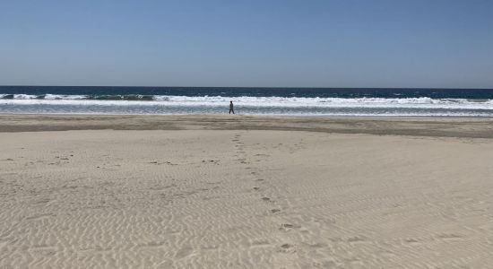 Playa El Tomatal