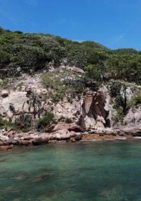 Isola de los Pájaros
