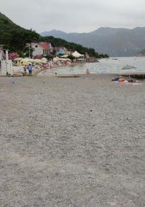 Gmina Kotor