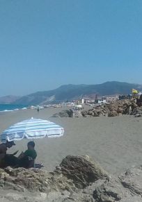 Steha