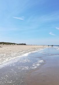 Renesse