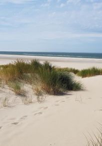 Wyspa Texel
