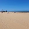 Scheveningen Nudist Beach