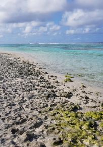 Patho