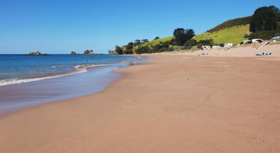 Tauranga Bay Beach