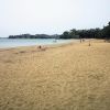 Kohimarama Beach