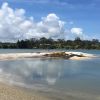 Shelly Park Beach
