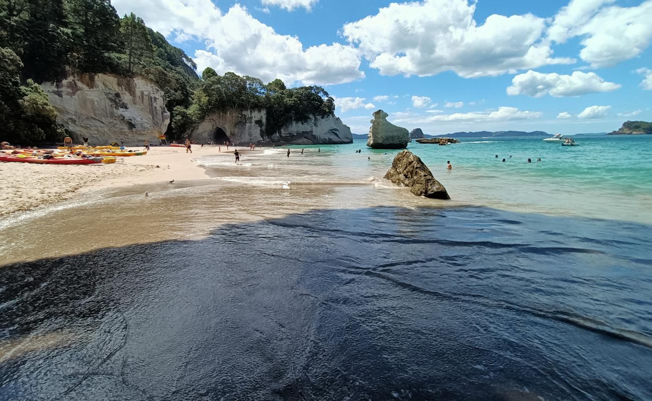 Cathedral Cove Beach