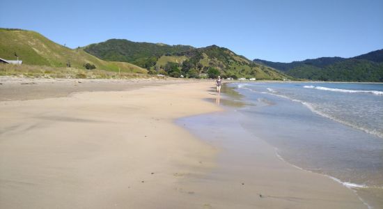 Anaura Beach