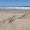 90 Mile Beach