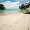 Mosquito Bay Beach