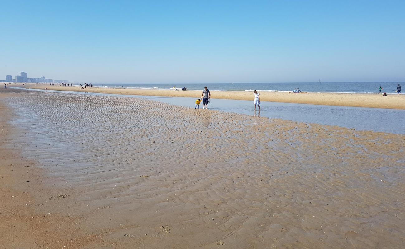 Plaża w Oostende