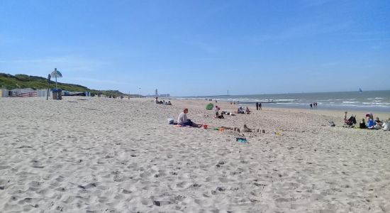 Plaża w Bredene