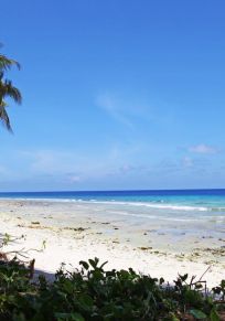 Delstaten Peleliu
