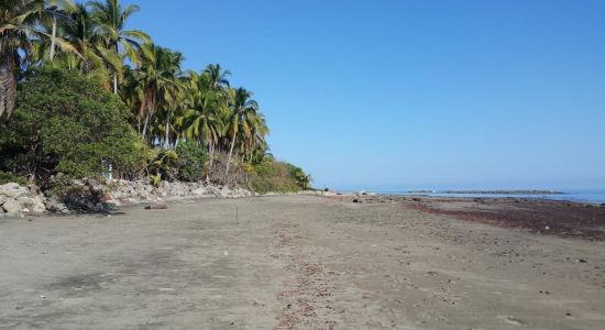 Candelaria Beach II