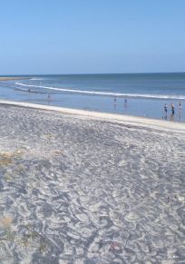 San Carlos