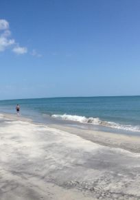 Coronado