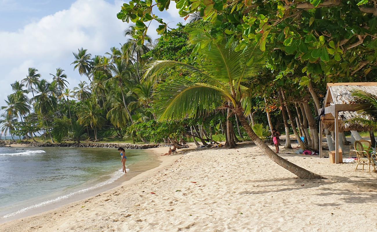 Plaža otoka Mamey
