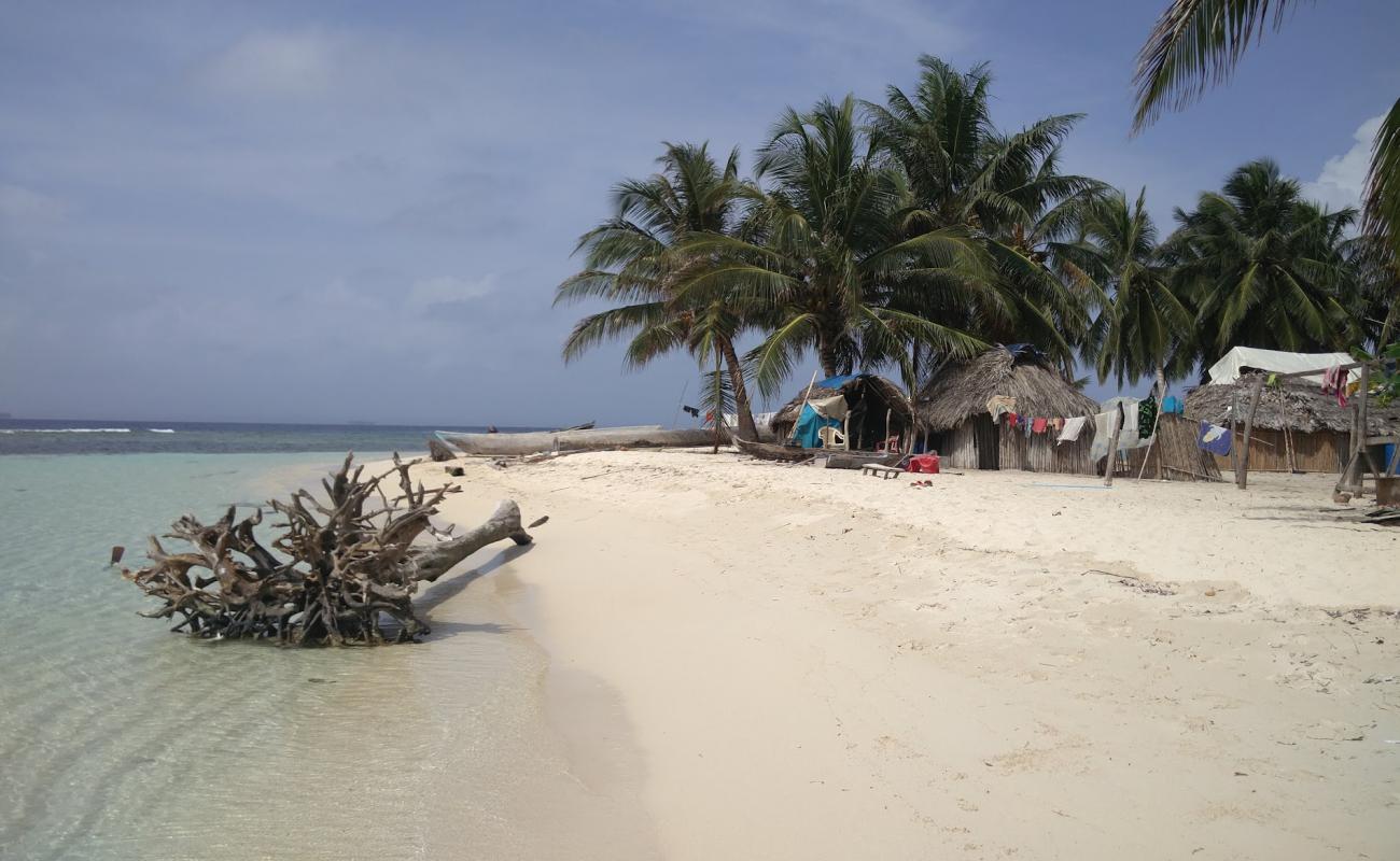 Coco Blanco Island baech