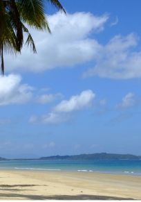 Alimanguan