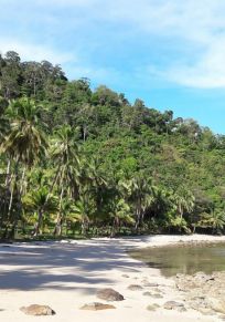 Bunuangin