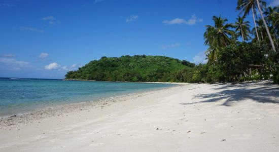 Plaża na wyspie Darocotan