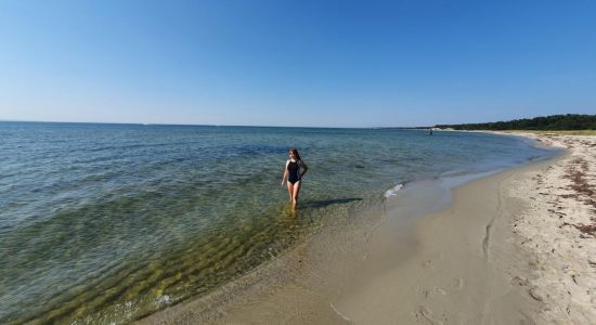 Navy Base beach
