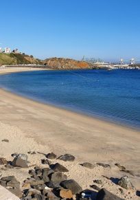 Sines
