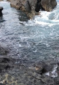 Lajido